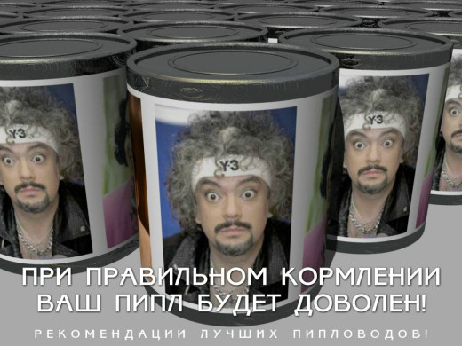 167272 (a): :1024x768